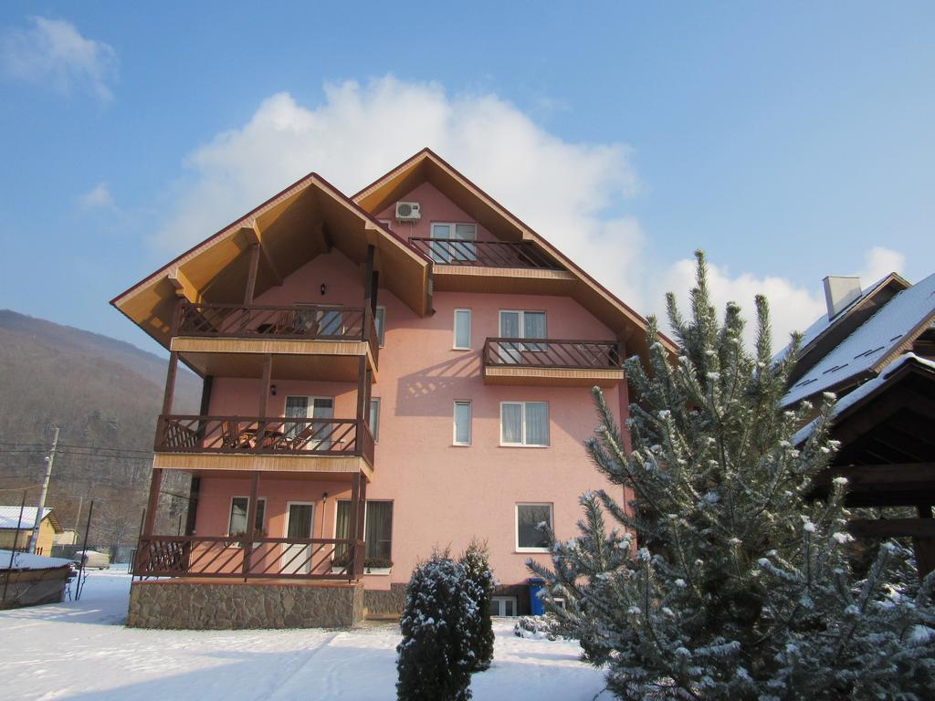 Hotel U Neli à Solochyn Extérieur photo